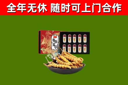 云林县回收冬虫夏草价格