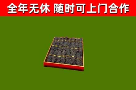 云林县回收海参